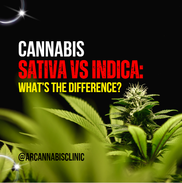 Cannabis Sativa Vs Indica: What’s The Difference?